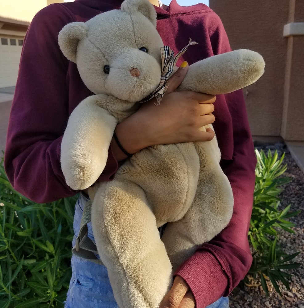 Teddy Bear Backpack